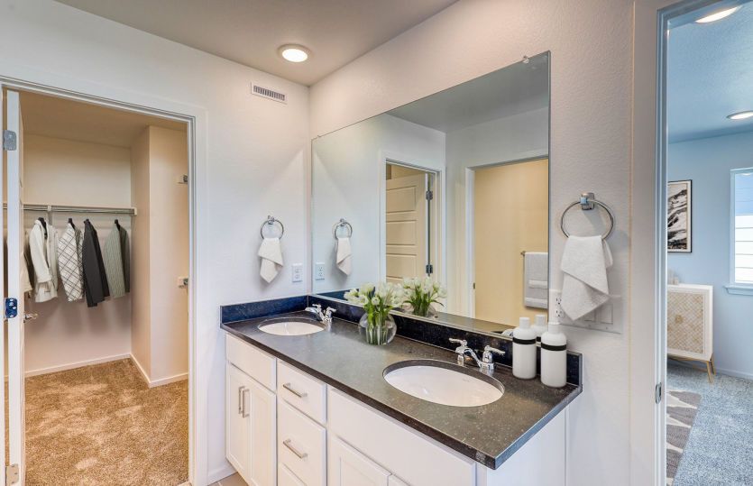 6310 N MALAYA ST (Arrabelle) - floorplan image